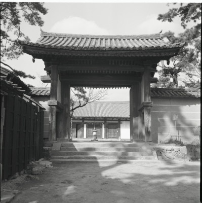 knd_22799()