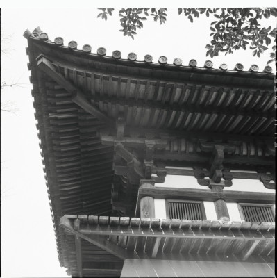 knd_22811()