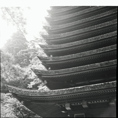 knd_22974()