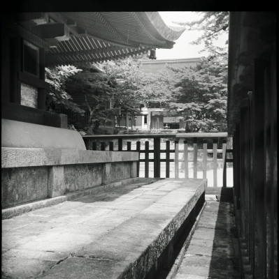 knd_22983()