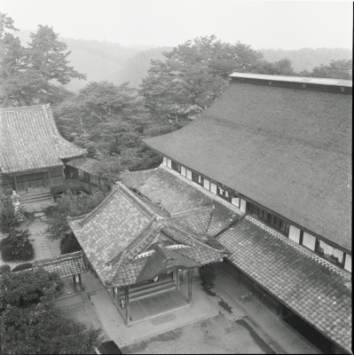 knd_23016()
