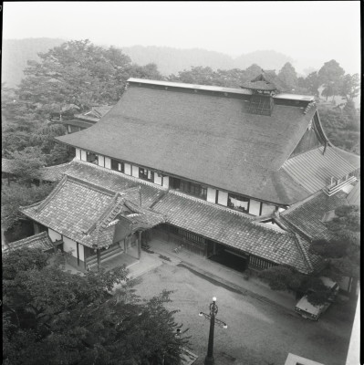 knd_23019()