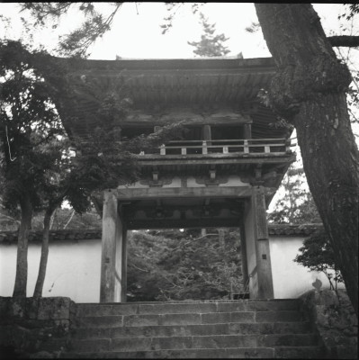 knd_23036()