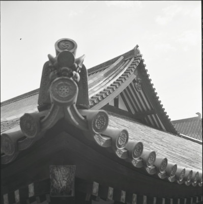 knd_23056()