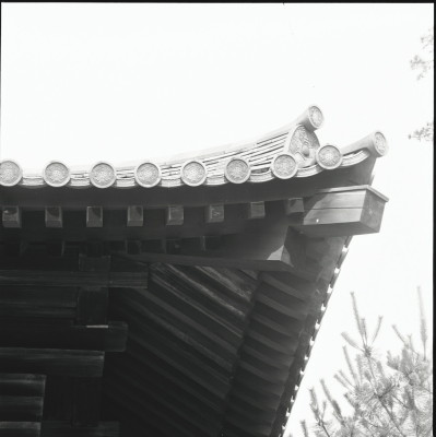 knd_23153()