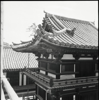 knd_23164()