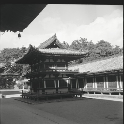 knd_23168()