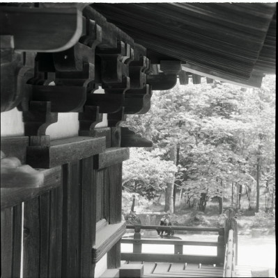 knd_23175()