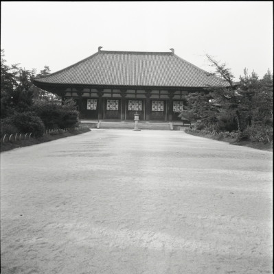 knd_23204()