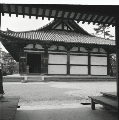 knd_23231()
