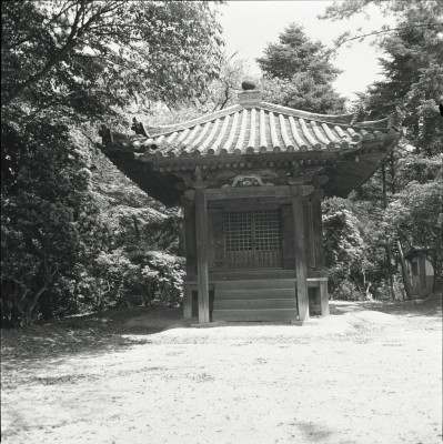 knd_23455()