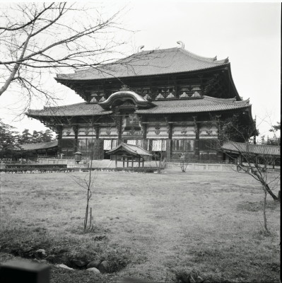 knd_23464()