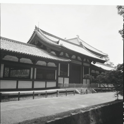 knd_23481()