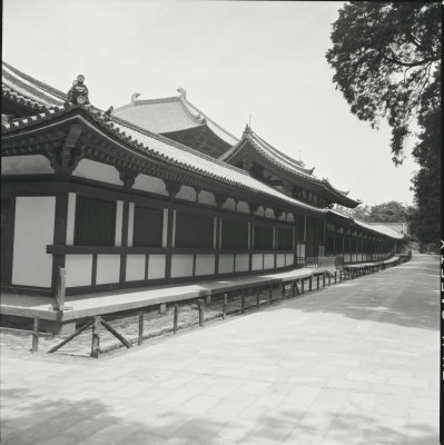 knd_23482()