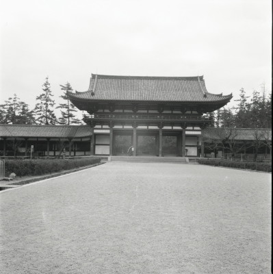 knd_23486()
