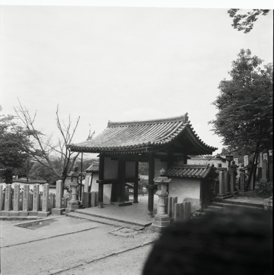 knd_23504()