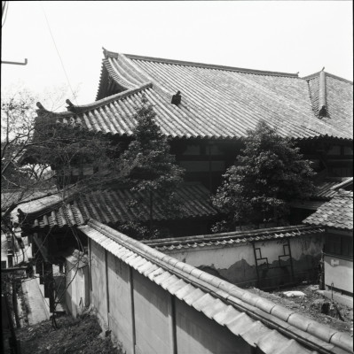 knd_23776()