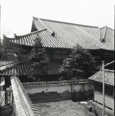 knd_23779()