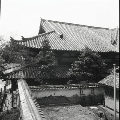 knd_23780()