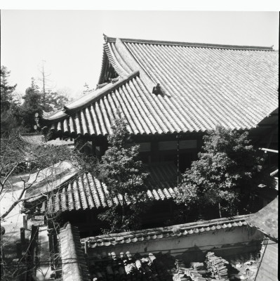 knd_23781()