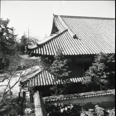 knd_23782()