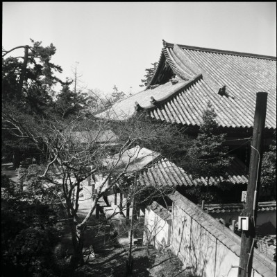 knd_23784()