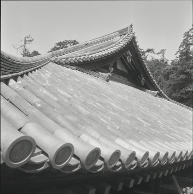 knd_23938()