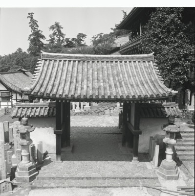 knd_23959()