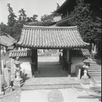 knd_23960()
