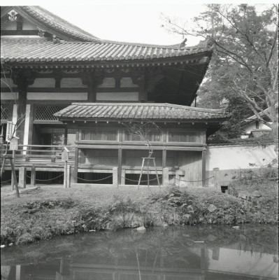 knd_23987()
