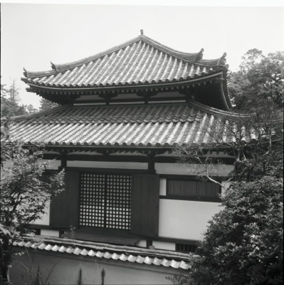 knd_24594()