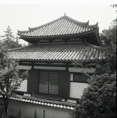 knd_24596()