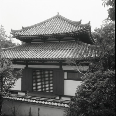 knd_24597()