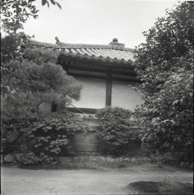 knd_24640()