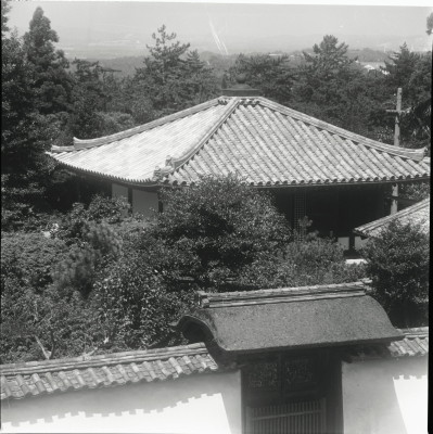 knd_24646()