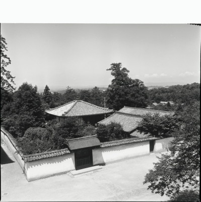 knd_24650()
