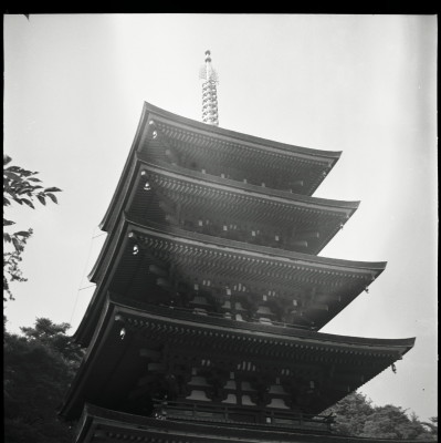 knd_25178()