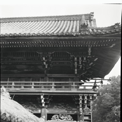 knd_25192()