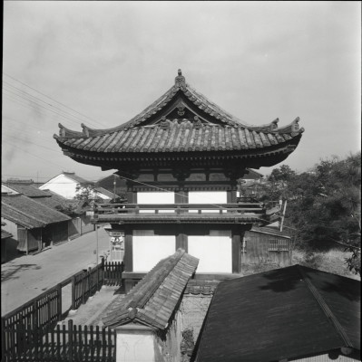 knd_25202()