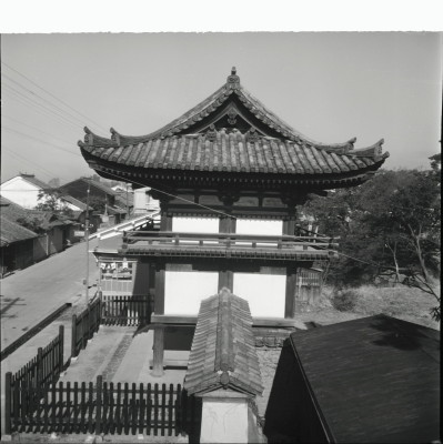knd_25203()