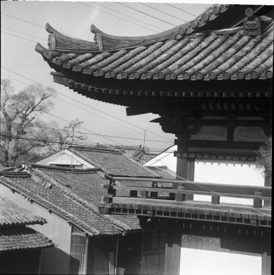 knd_25211()