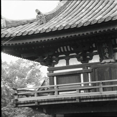 knd_25213()