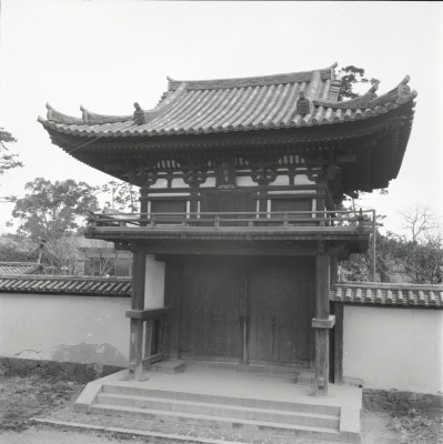 knd_25219()