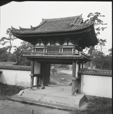 knd_25225()