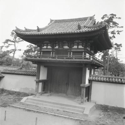 knd_25228()