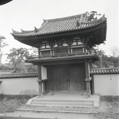 knd_25229()