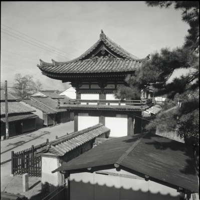 knd_25233()