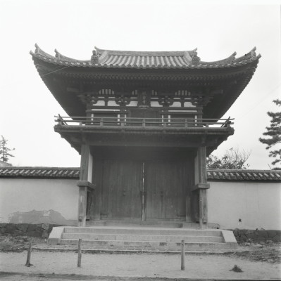 knd_25236()