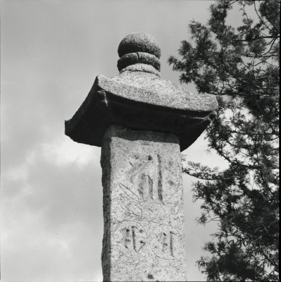 knd_25267()