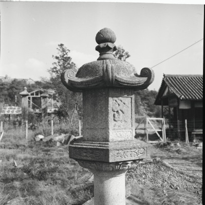knd_25292()